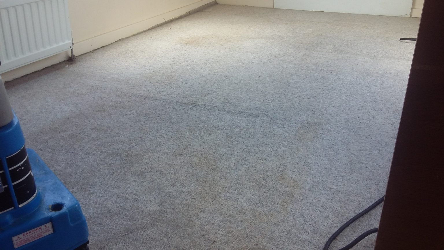 Recent Case Studies JJ CARPET CLEANING